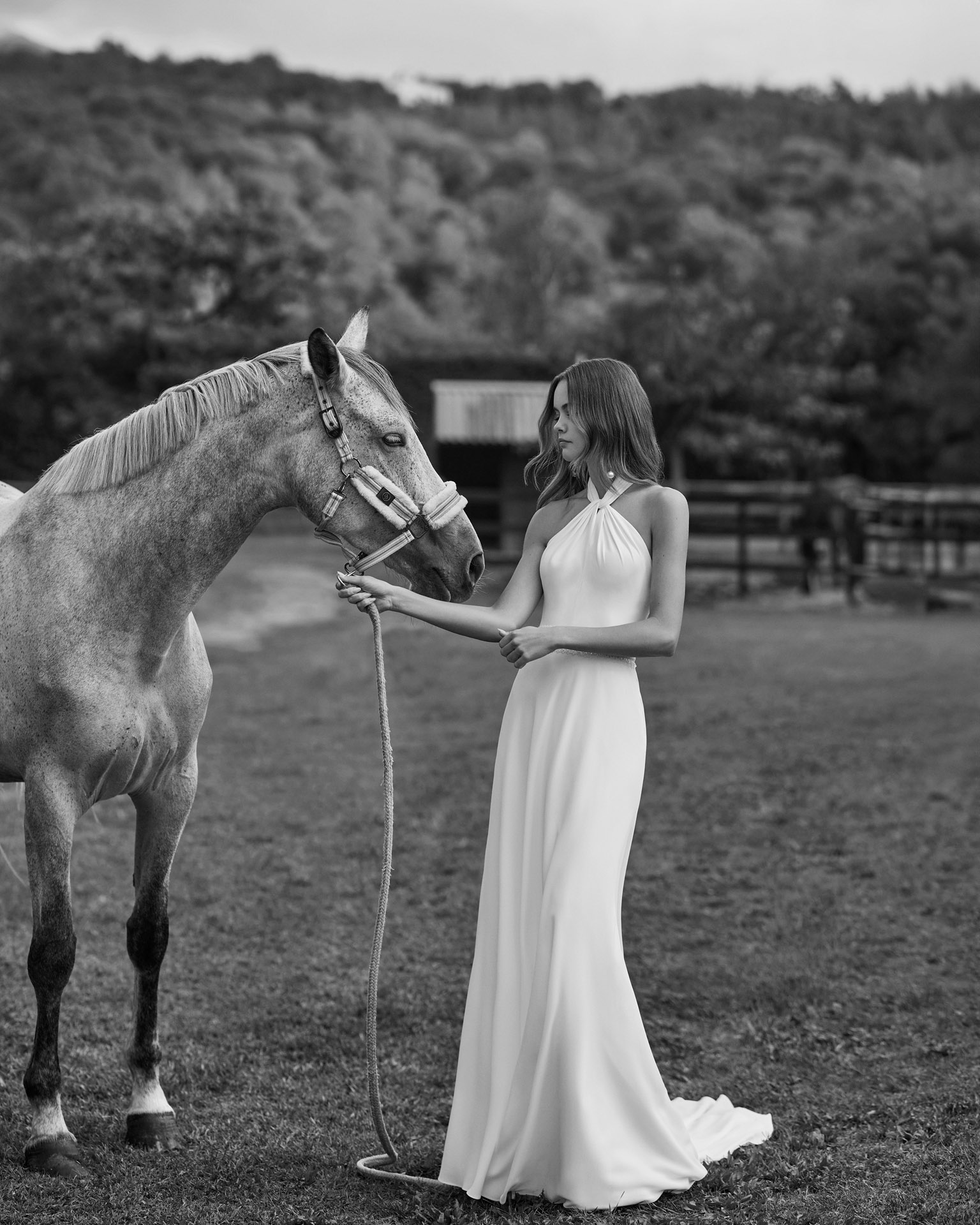 1B09 NARCISA ALMA NOVIA 1