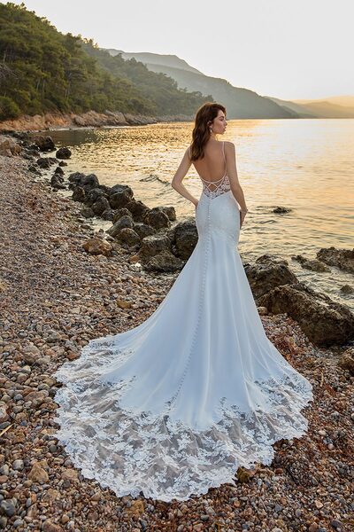 DR2309 Helena back web scaled